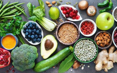 Plant Based Diet. Yes or No?