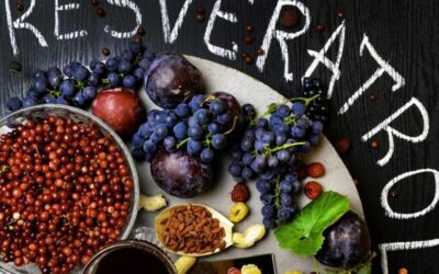 Will Resveratrol Extend Life?