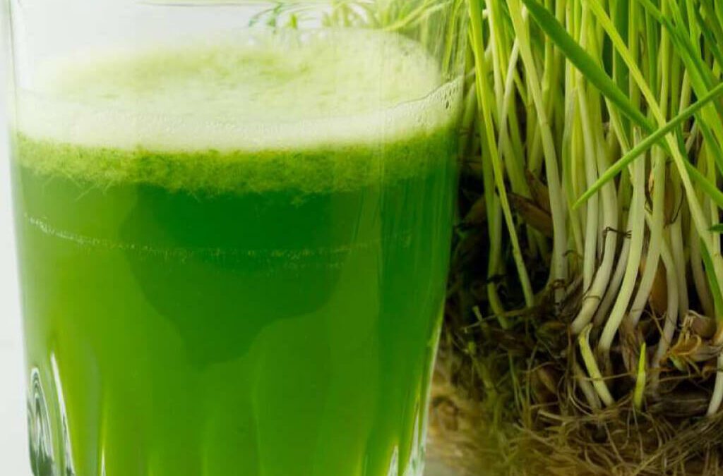Powerful Wheatgrass Juice