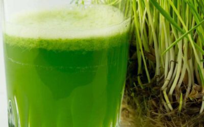 Powerful Wheatgrass Juice
