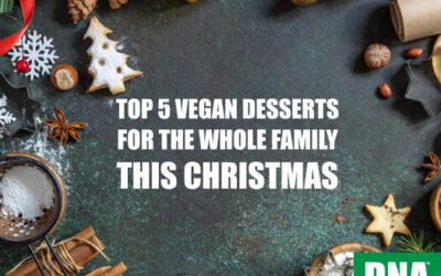 Top 5 Vegan Desserts For The Whole Family This Christmas