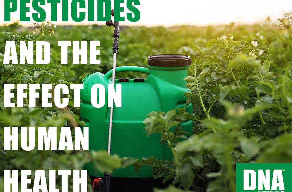 Pesticides And The Effect On Human Health