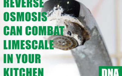 Reverse Osmosis Can Combat Limescale In Your Kitchen